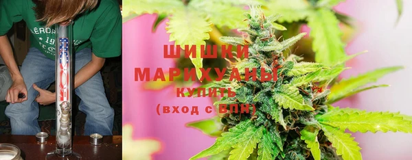 гидра Ладушкин