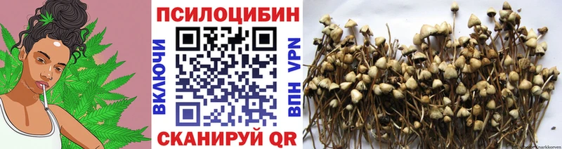 Псилоцибиновые грибы MAGIC MUSHROOMS  Мелеуз 